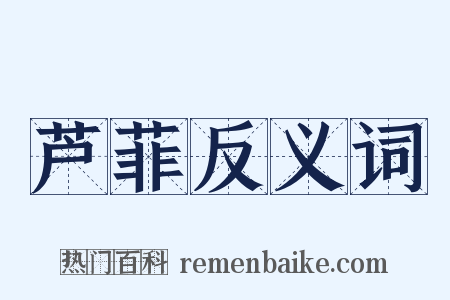 芦菲反义词是什么意思的图片
